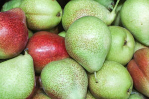 Врач раскрыл, сколько груш в день полезно съедать для здоровья