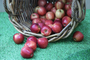 Названы пять продуктов для поддержания энергичности