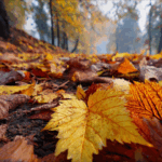 Что делать с опавшей листвой: превращаем осенний мусор в золото для сада