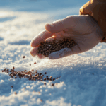 Цветы под снегом: что высадить сейчас, чтобы весной в саду все цвело?