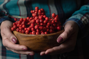 Диетолог объяснил, когда можно есть ягоды рябины