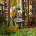 Подготовка дачи к зиме: как сохранить все системы в целости