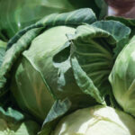 Садовые работы в октябре: готовим участок к зиме