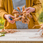 Секреты садоводов: как правильно хранить клубни и луковицы зимой