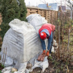 Укрытие растений: топ-советы для Подмосковья, Ленобласти и Урала