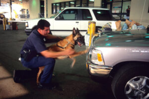 В Мехико в ходе марша были ранены 100 полицейских