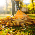 Вторая жизнь осенней листвы: 5 проверенных способов для вашего сада