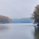 Новые признаки загрязнения Днестра из-за Украины зафиксировали в Молдавии