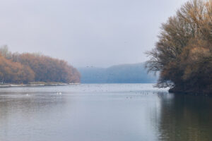 Новые признаки загрязнения Днестра из-за Украины зафиксировали в Молдавии