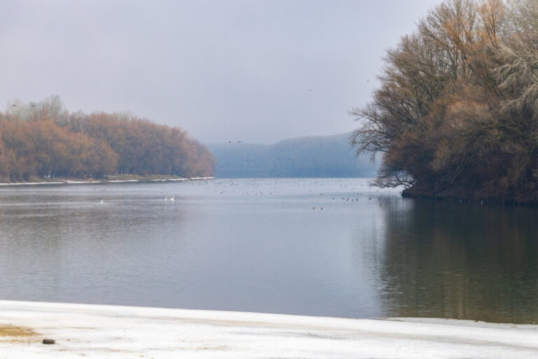 Молдавию обвинили в попытке скрыть экологическую катастрофу