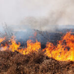 Необитаемый остров сгорел в Финляндии