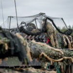 В ЕС рассказали, как Франция хочет вставить палки в колеса Украине