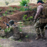 Стало известно, когда Украина может принять условия России